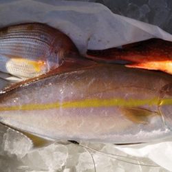 康仁丸・ジギング釣り果